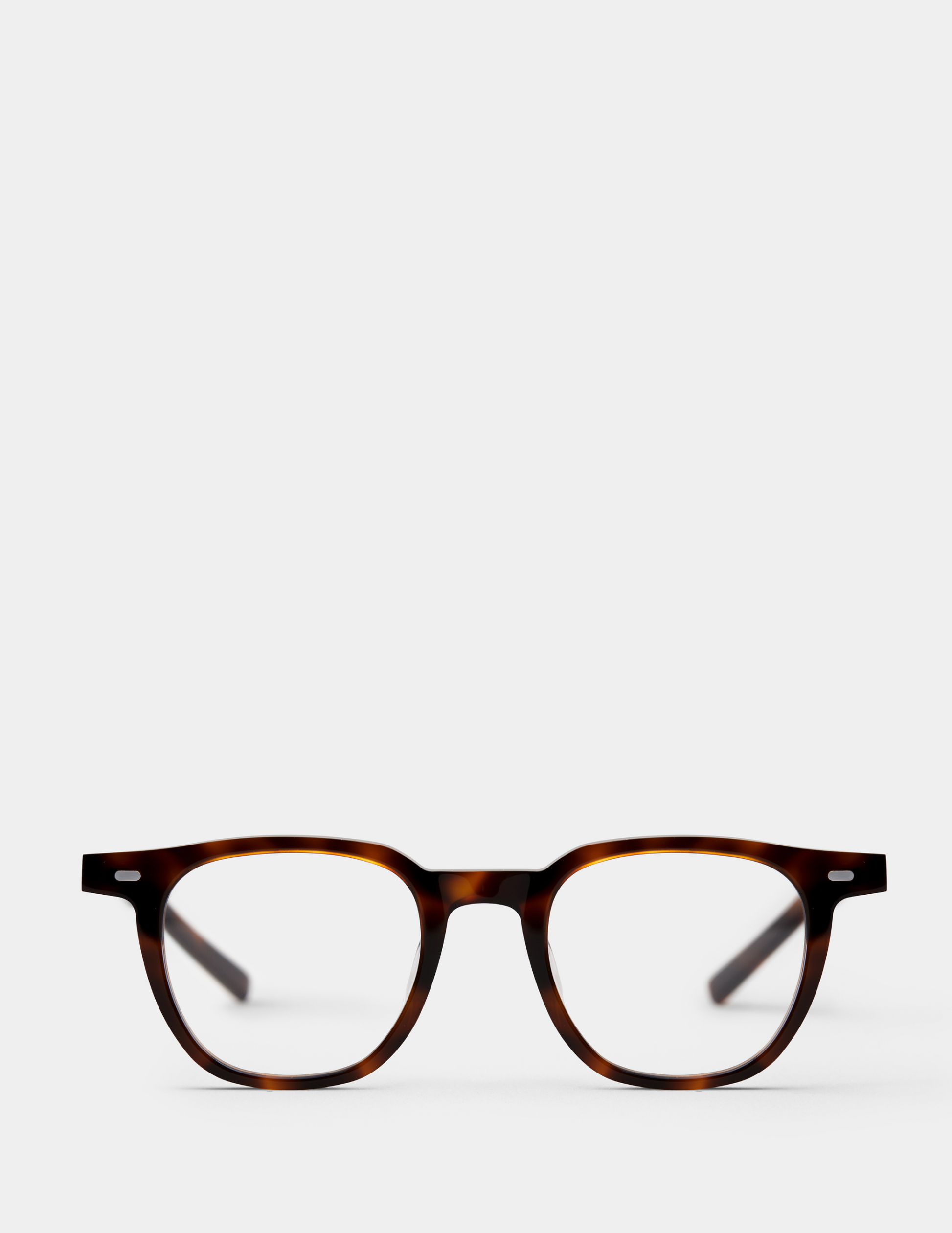 Brown-Havana-3
