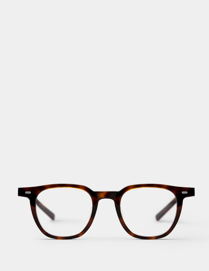 Brown-Havana-3